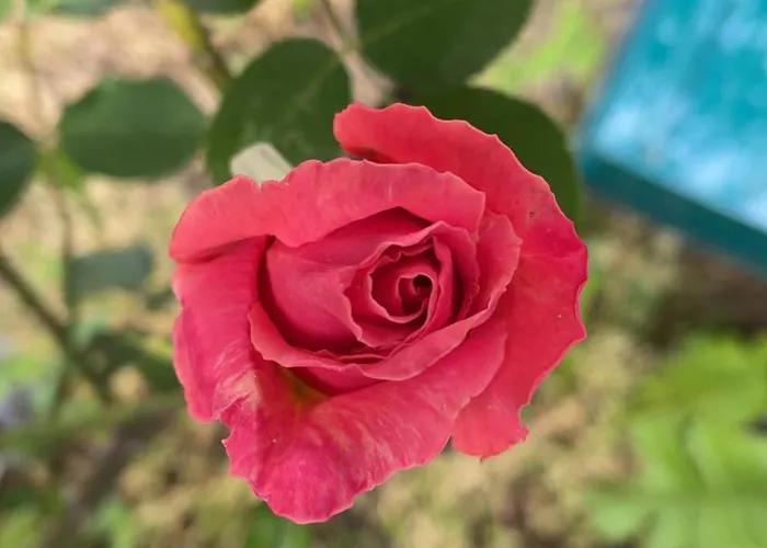 アパート The13th